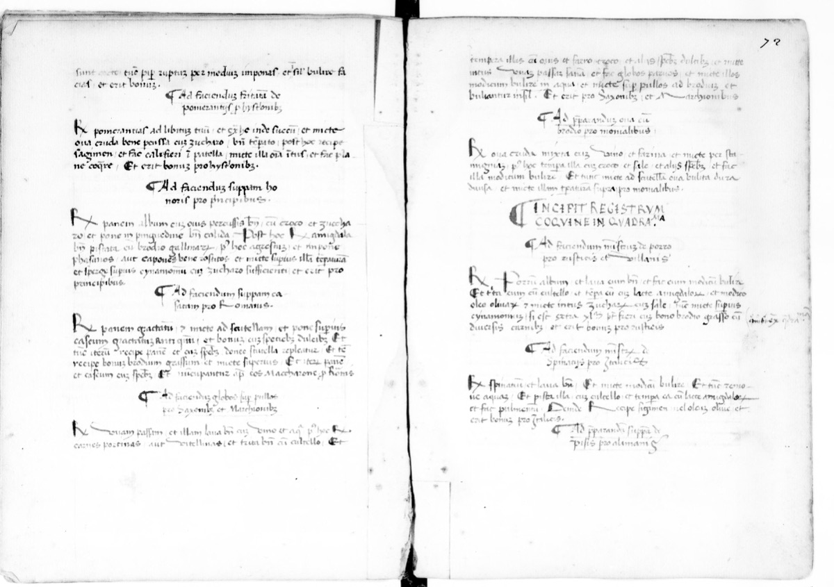 Rübenmus für Fasten- und Fleischtage — Originalseite aus Registrum Coquine