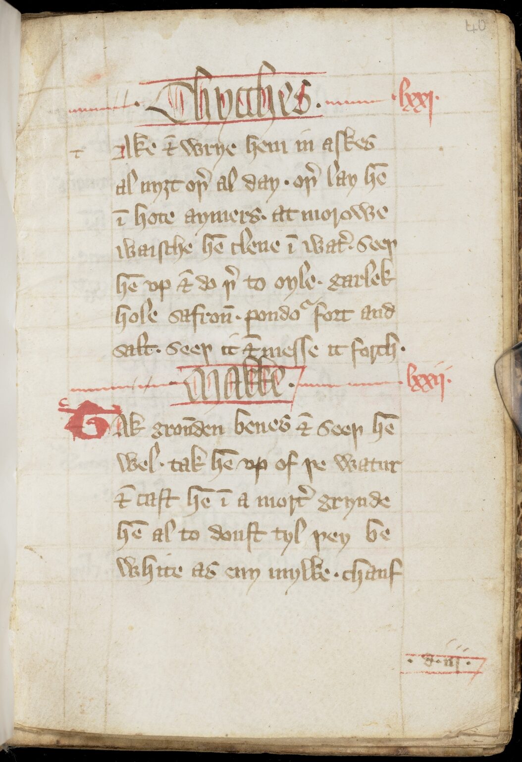 Bohnenpüree mit gerösteten Zwiebeln — Originalseite aus The Forme of Cury