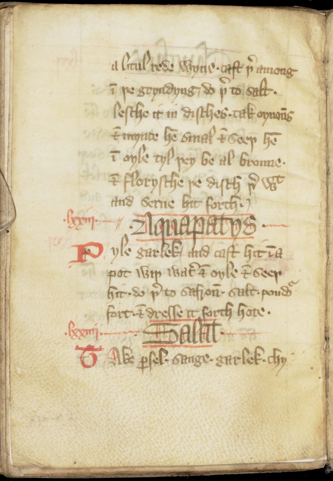 Knoblauch in Wasser und Öl — Originalseite aus The Forme of Cury