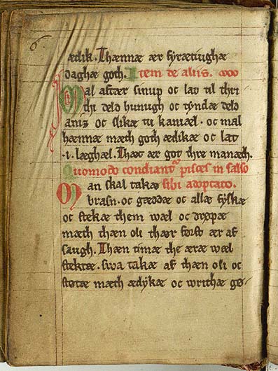 Gewürzsenf mit Honig und Anis — Originalseite aus Kogebog (Harpestreng-Handschrift NKS 66)
