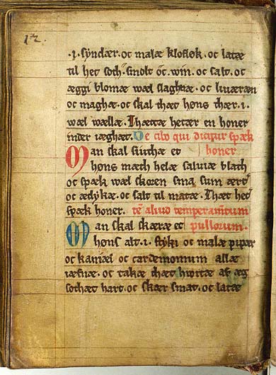 Gewürztes Huhn mit Brot — Originalseite aus Kogebog (Harpestreng-Handschrift NKS 66)