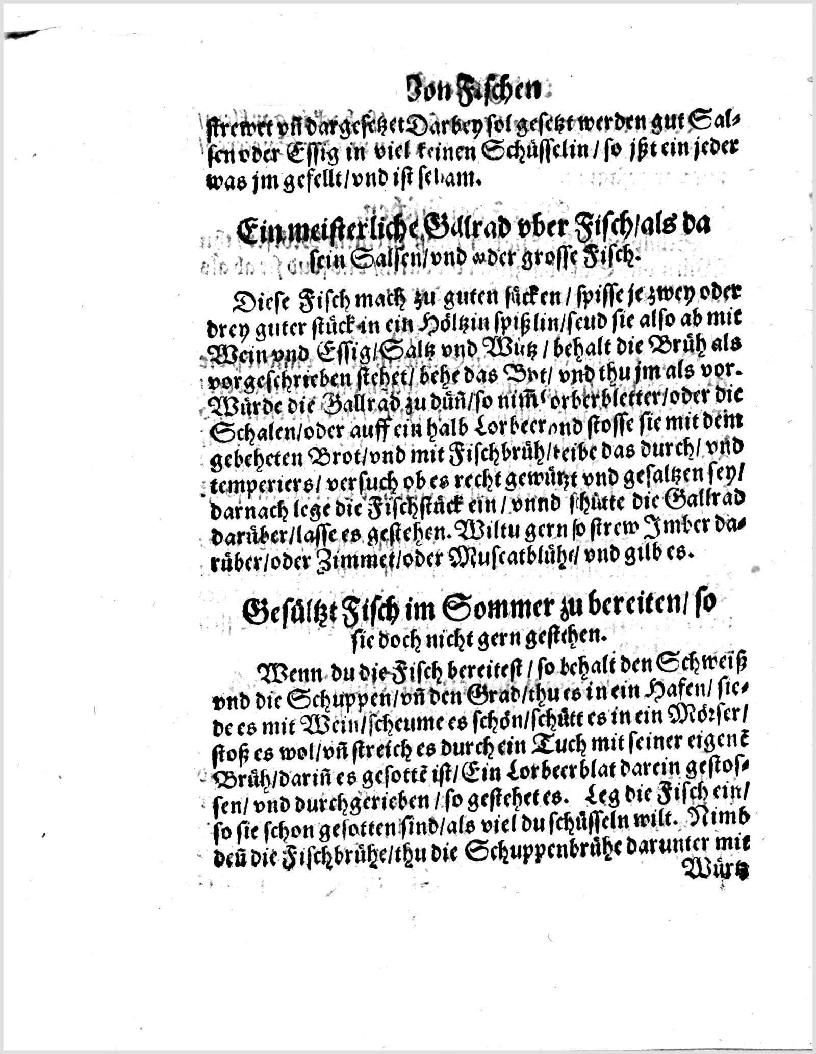 Vierfacher Fisch: Ein Hecht, vier Zubereitungen — Originalseite aus Koch und Kellermeisterei