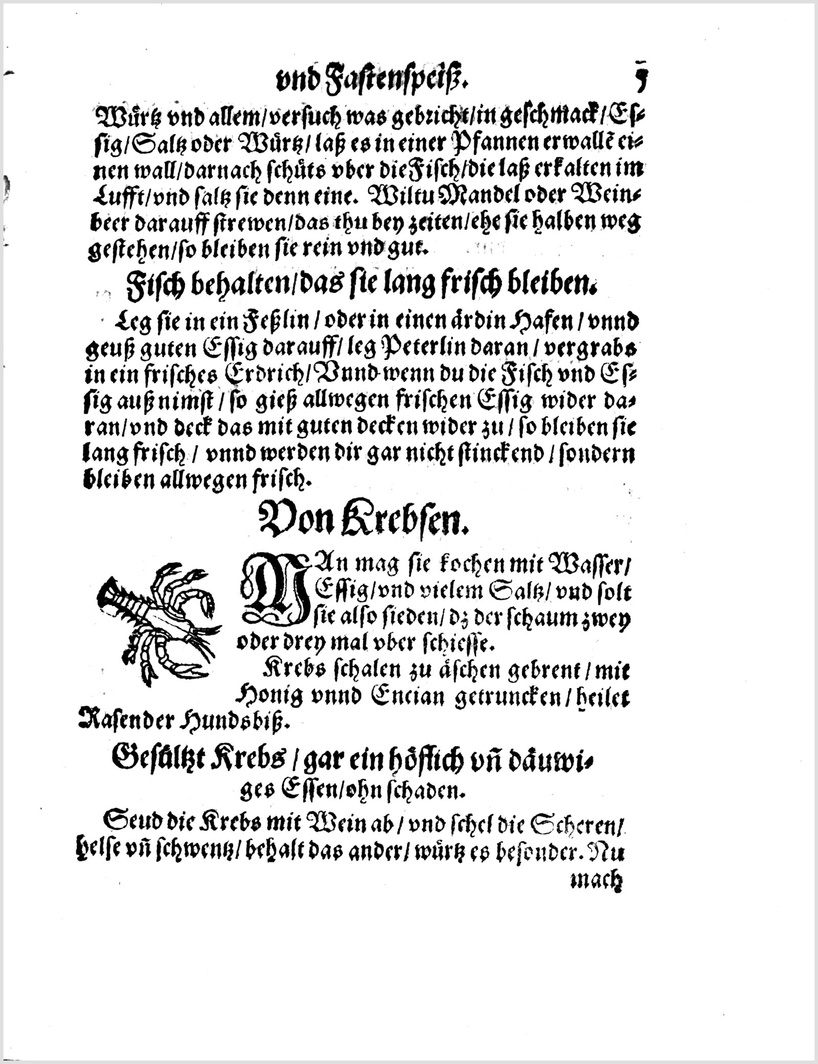 Fisch haltbar machen in Essig — Originalseite aus Koch und Kellermeisterei