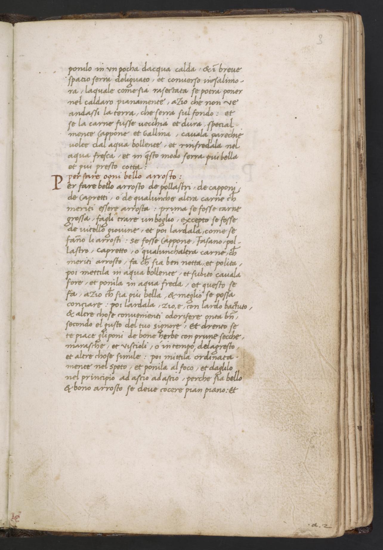 Gebratenes Fleisch am Spieß — Originalseite aus Libro de Arte Coquinaria