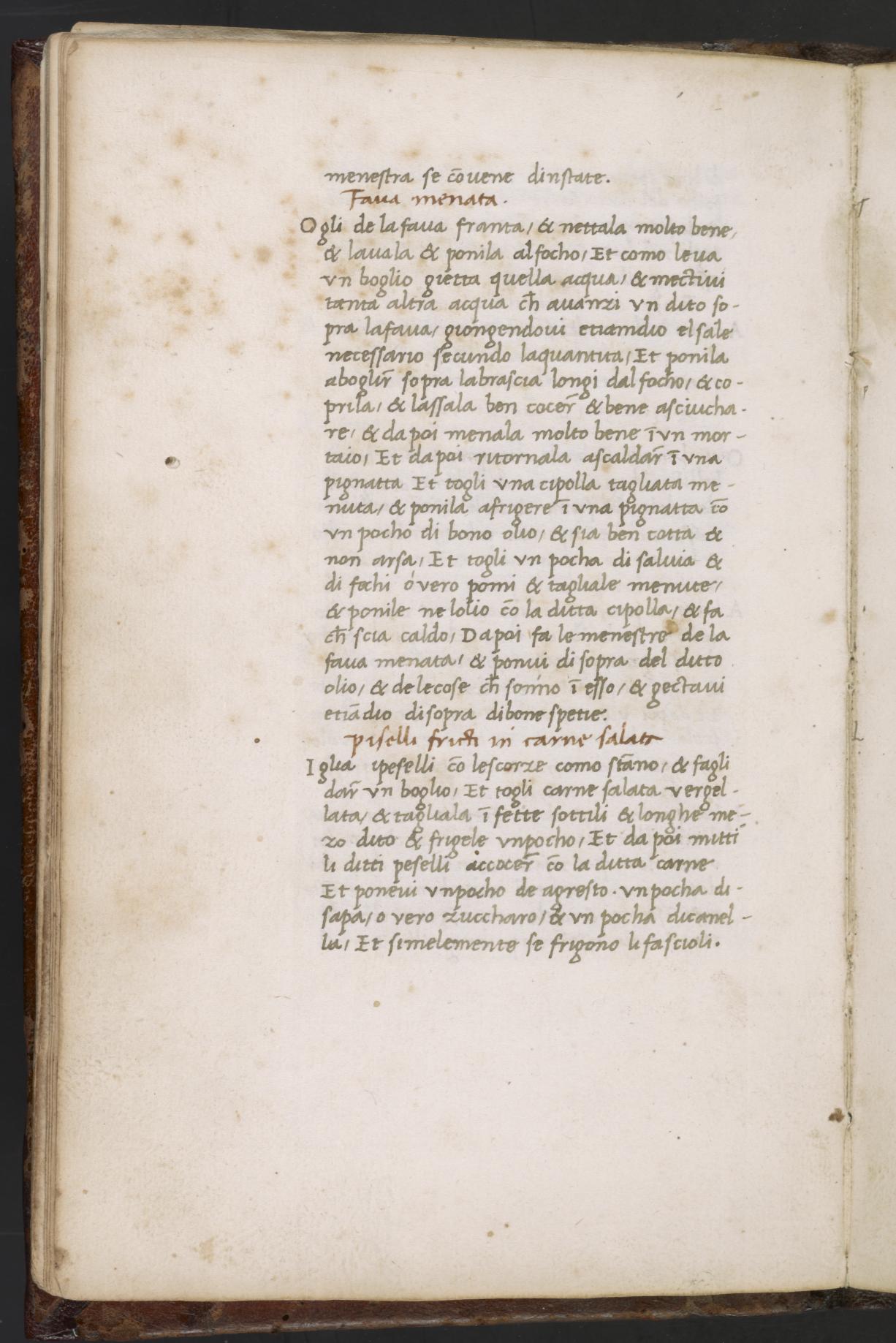 Pürierte Saubohnen mit Zwiebel-Frucht-Öl — Originalseite aus Libro de Arte Coquinaria