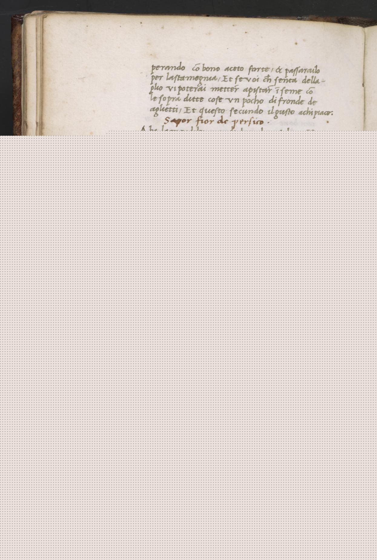 Würzige Traubensauce — Originalseite aus Libro de Arte Coquinaria