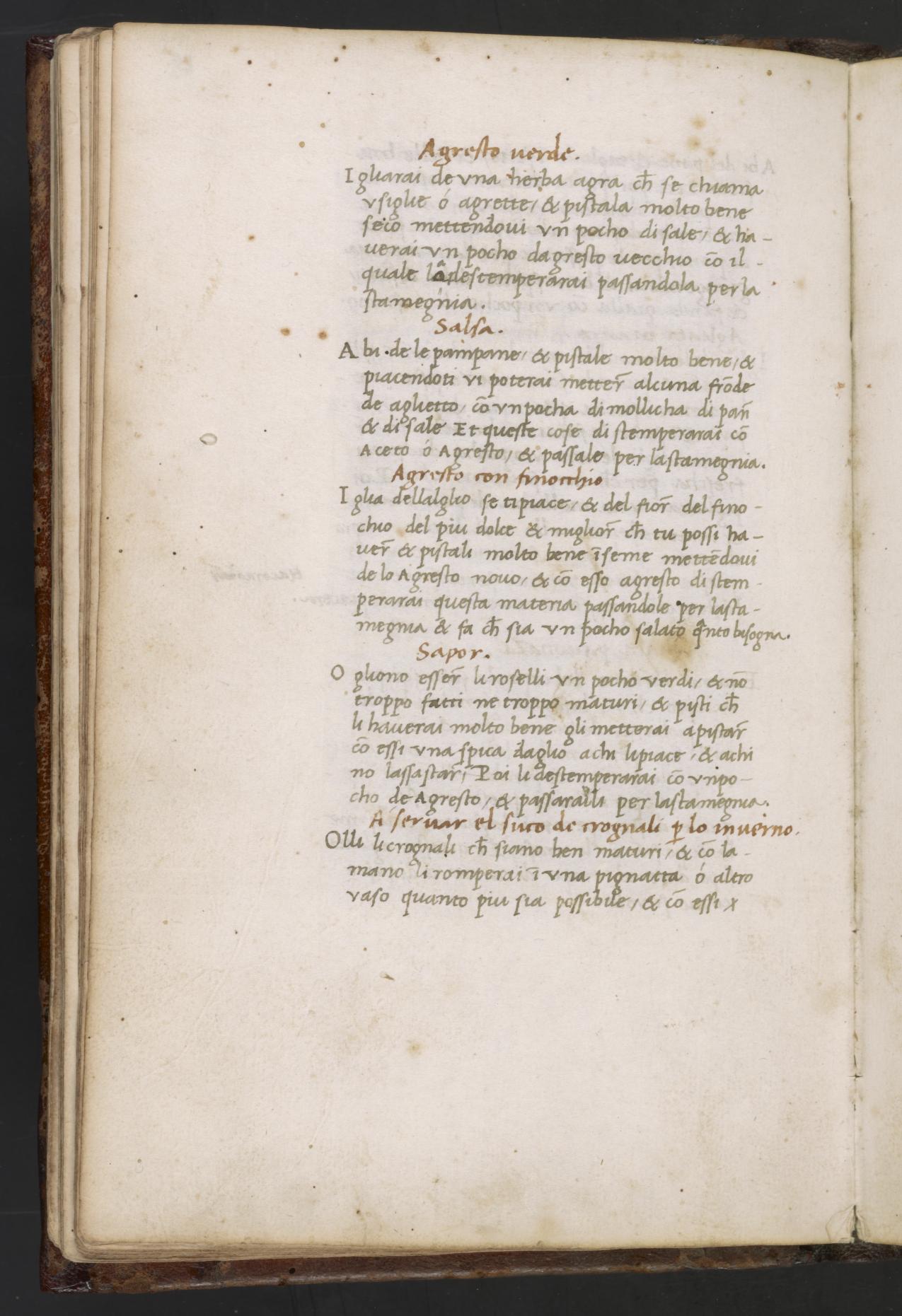 Grüne Kräutersauce mit Verjus — Originalseite aus Libro de Arte Coquinaria