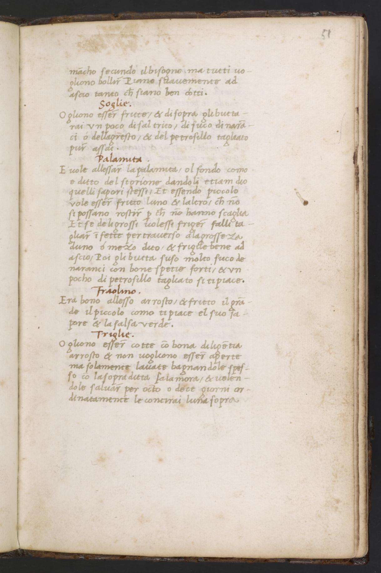 Goldbrasse, gesotten oder gebraten — Originalseite aus Libro de Arte Coquinaria