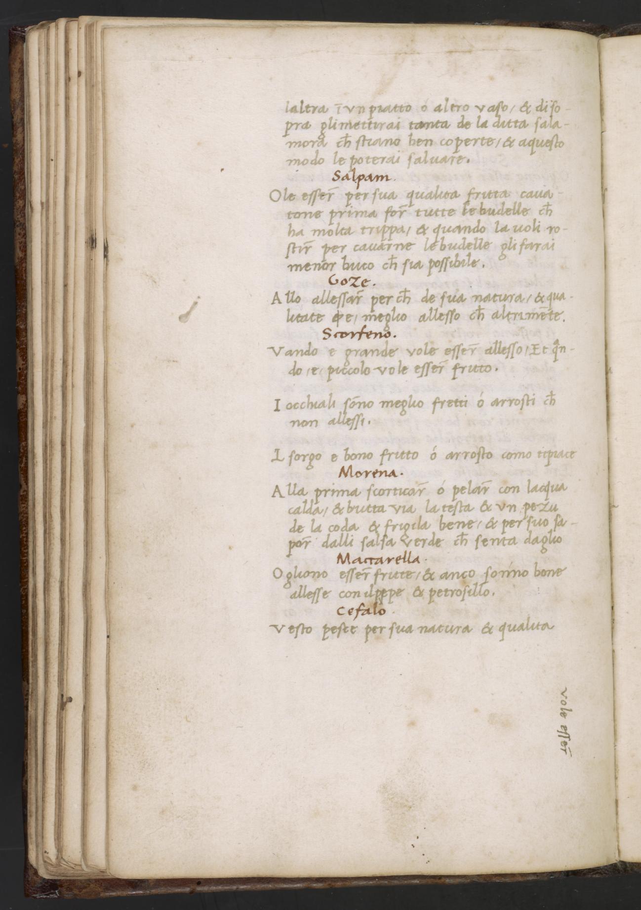 Bonito, gesotten oder gebraten — Originalseite aus Libro de Arte Coquinaria