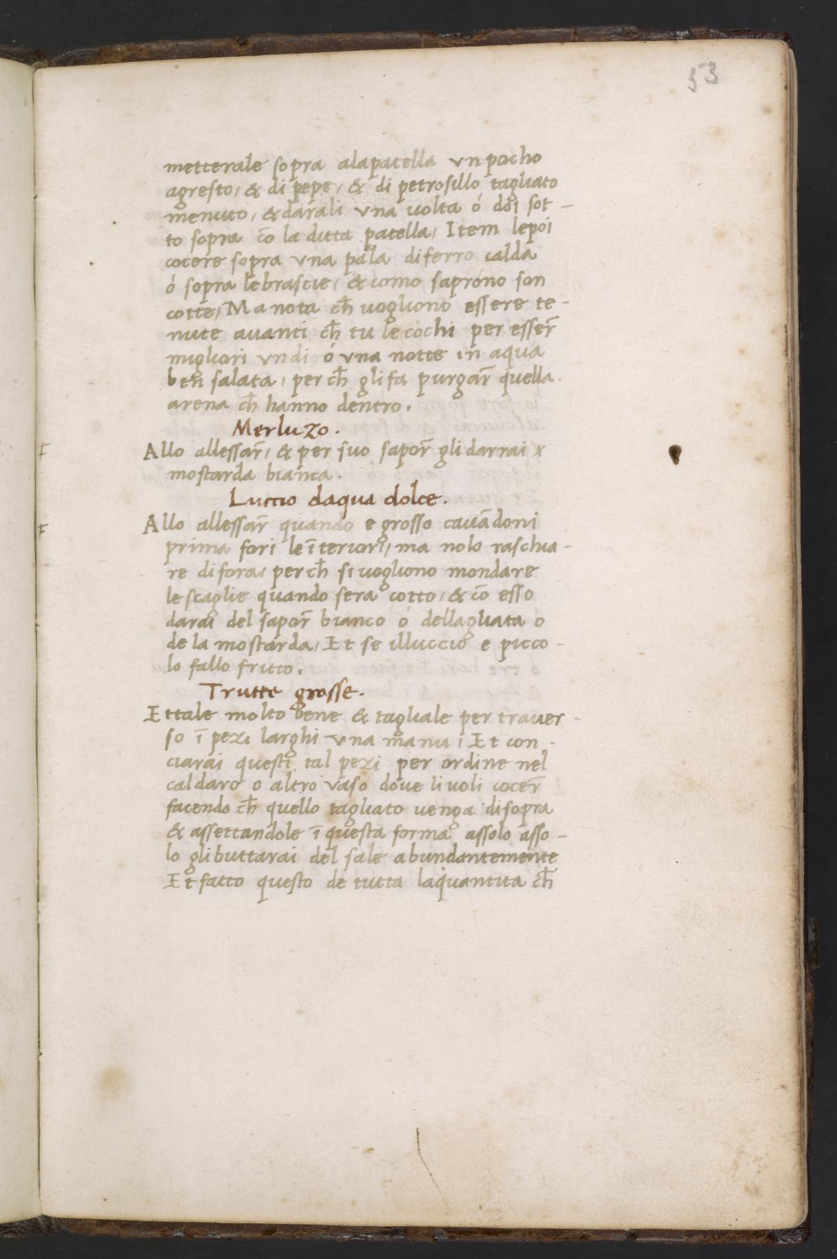 Gebratene Muräne mit Knoblauch-Grünsauce — Originalseite aus Libro de Arte Coquinaria