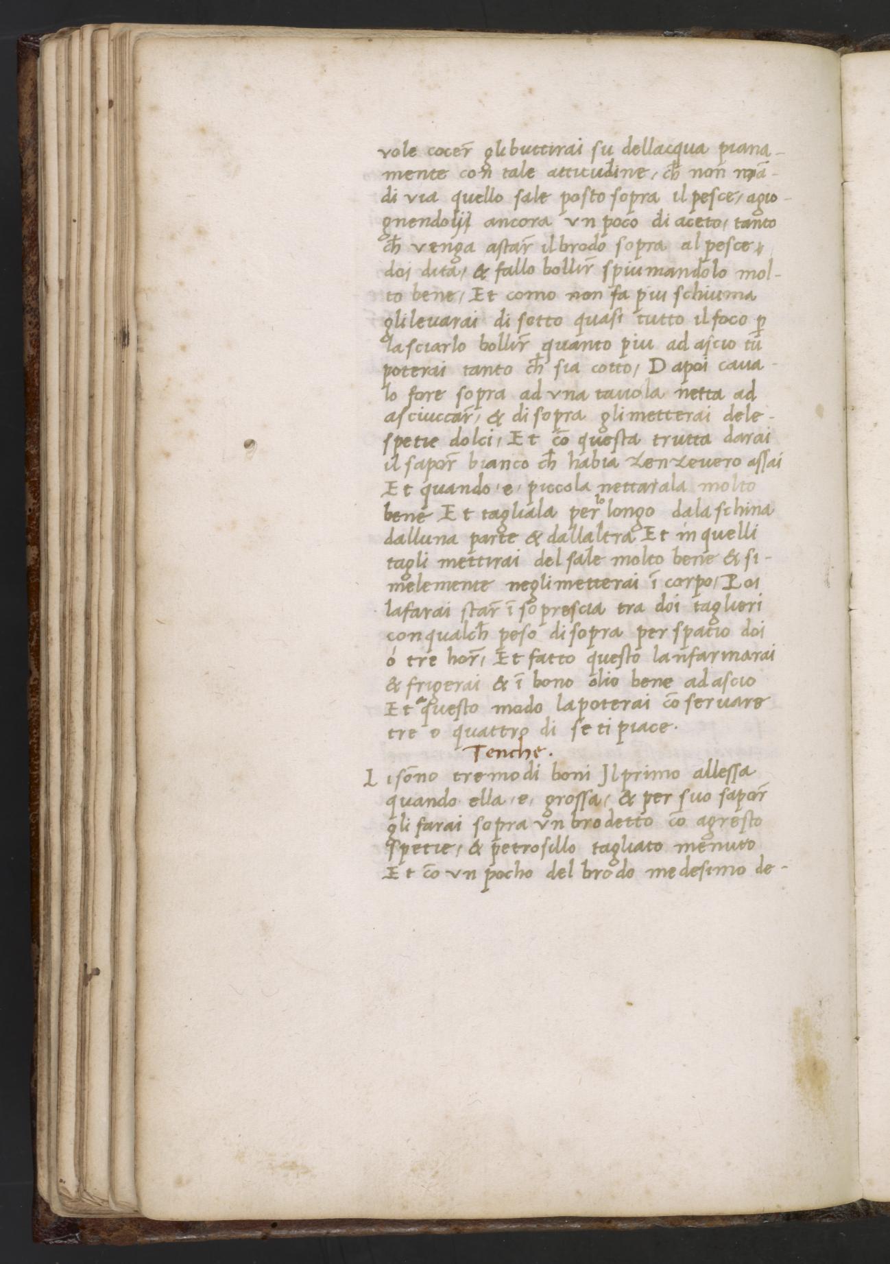 Meeräsche gebraten oder gesotten — Originalseite aus Libro de Arte Coquinaria