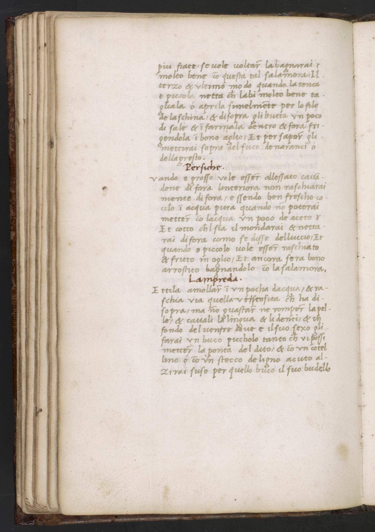 Gekochte Nüsse mit Essig — Originalseite aus Libro de Arte Coquinaria