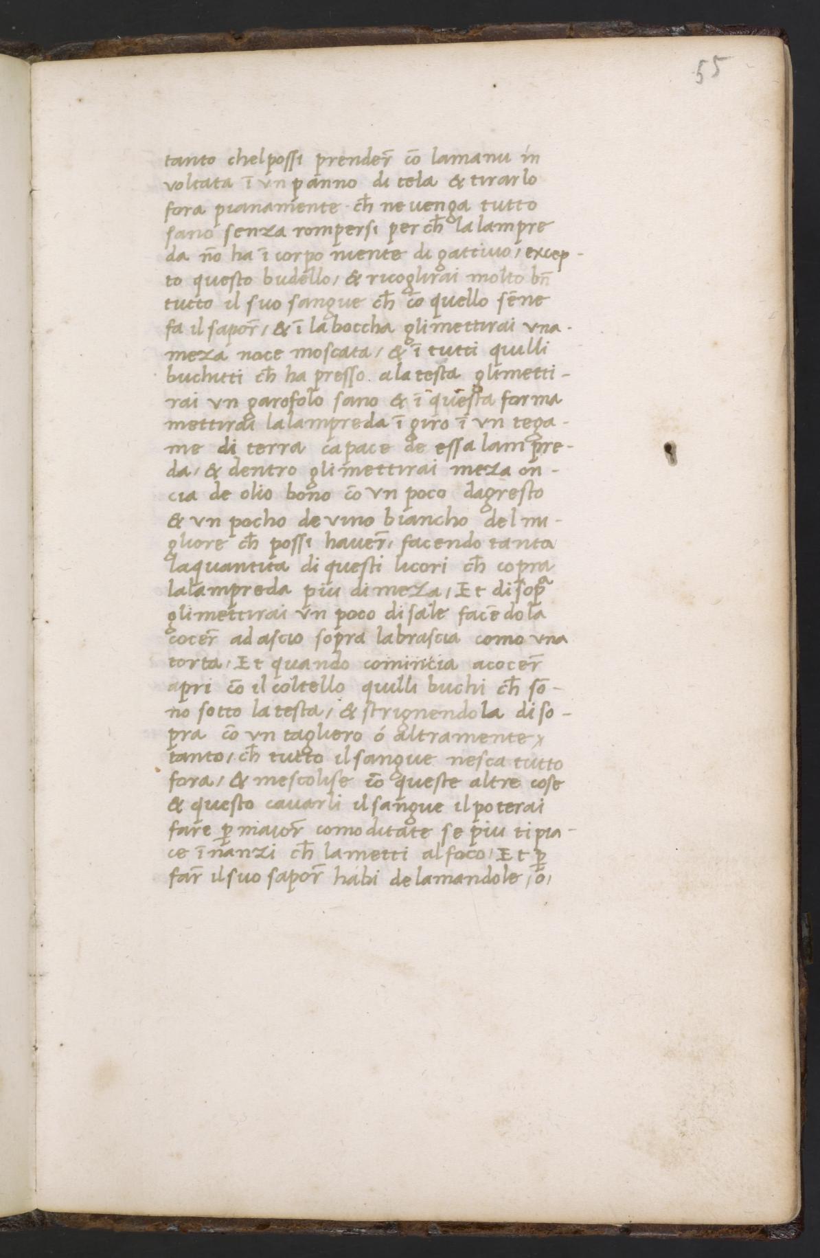 Lampuga: Gebraten, Gegrillt, Gesotten — Originalseite aus Libro de Arte Coquinaria