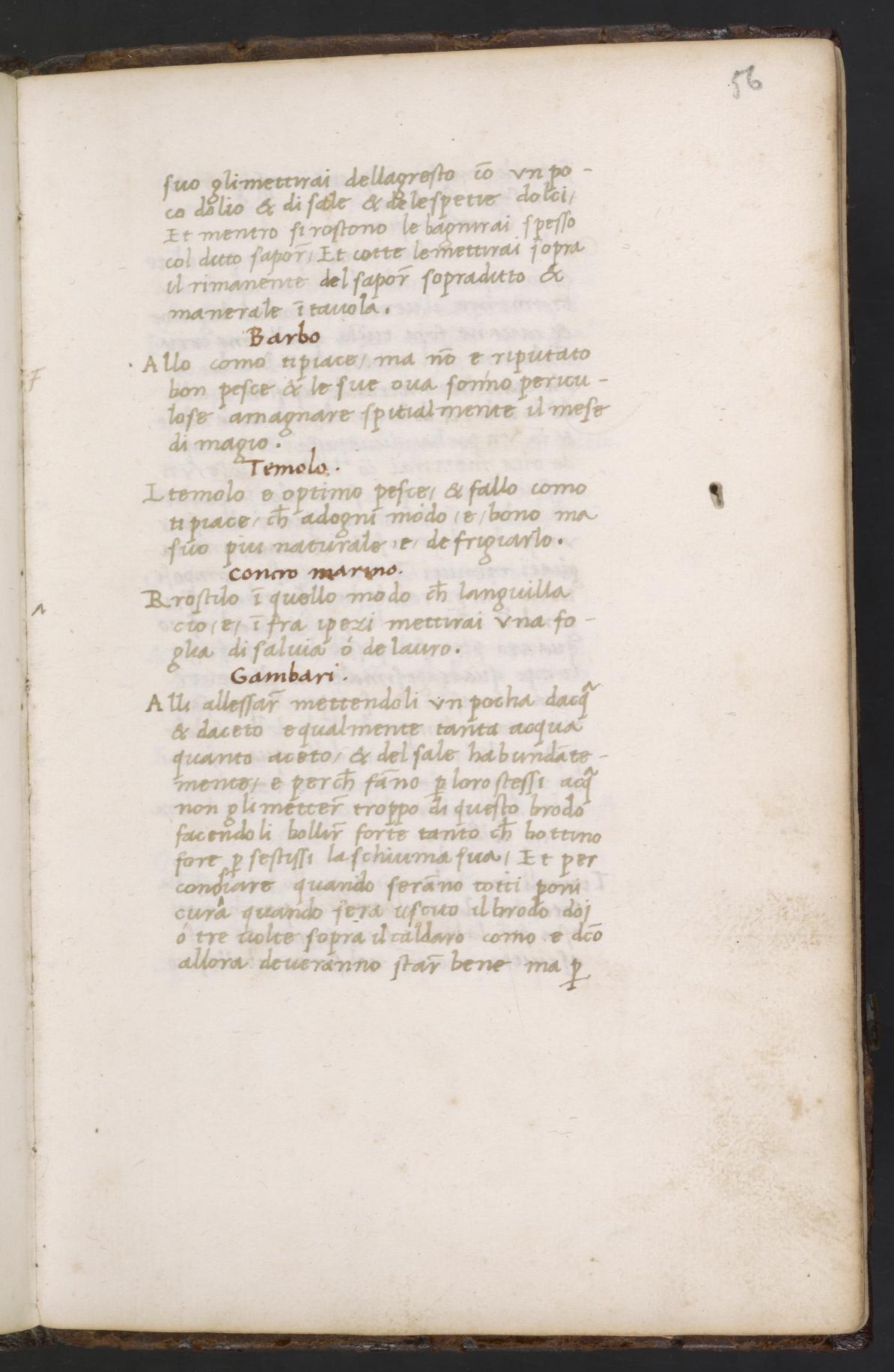 Schleie auf drei Arten — Originalseite aus Libro de Arte Coquinaria