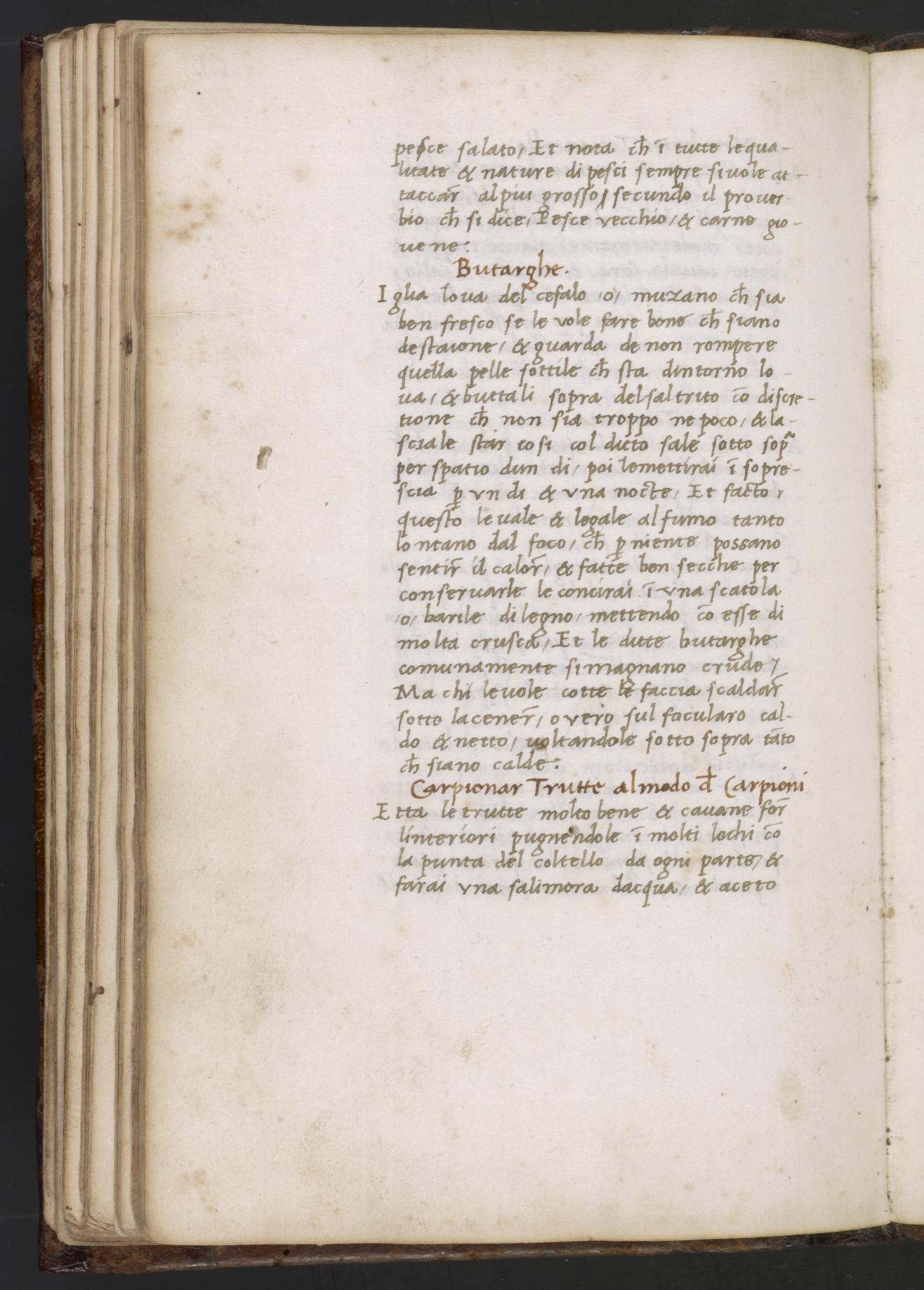 Gesottener Thunfischbauch — Originalseite aus Libro de Arte Coquinaria