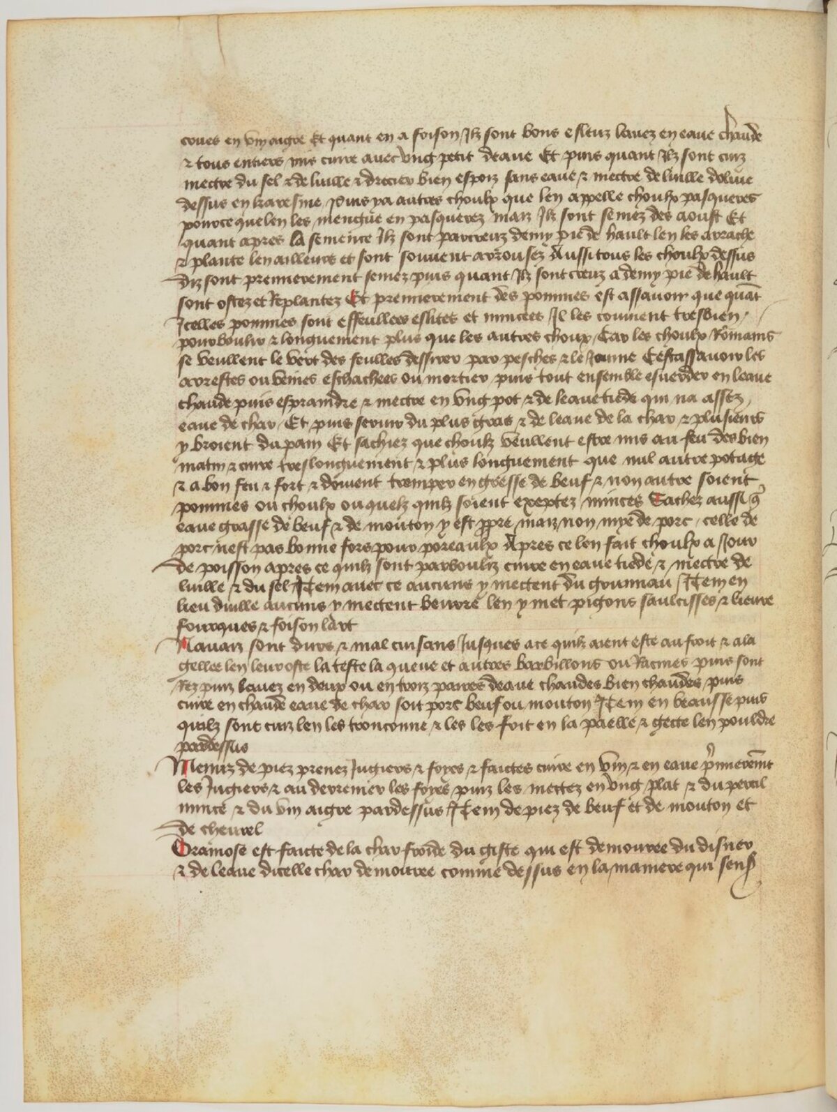 Rüben in Fleischbrühe — Originalseite aus Ménagier de Paris