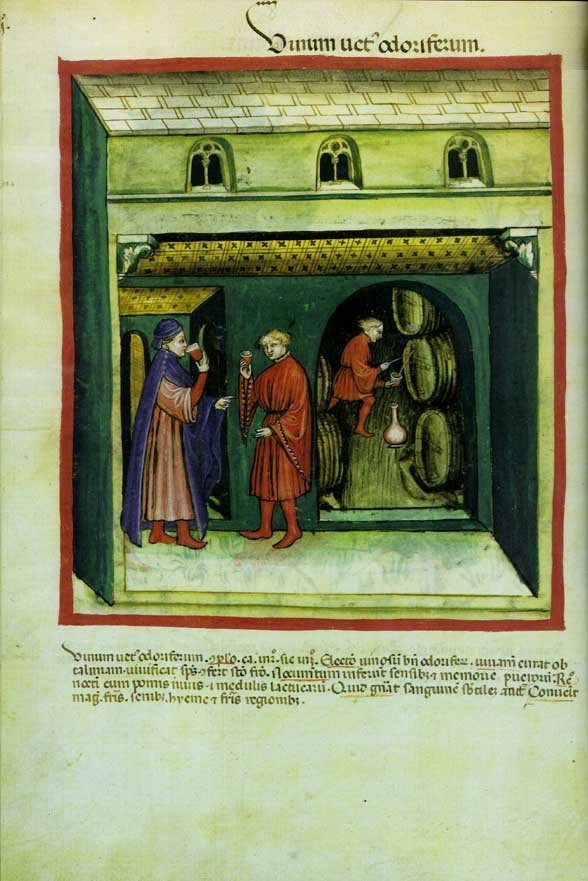 Geschmortes Schweinefleisch mit Apfel und Zwiebel — Originalseite aus Böhmisches Kochbuch — Kuchařství o rozličných krměch